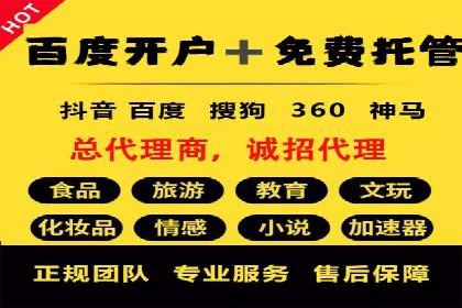 某公司SEM代理策略：实现流量转化